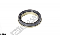 Oil Seal