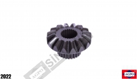 Bevel Gear