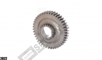 Gear 43T