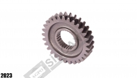 Gear 29T 