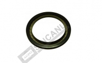 Rear Axle Seal