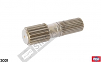 Pinion Gear