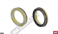 Oil Seal
