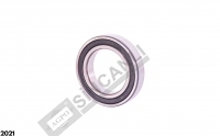Bearing