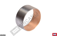 AVARE DİŞLİ BURCU