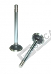 Valve Ex Std.