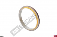 Rear Crank Seal