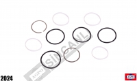 Seal Ring Repair Kit
