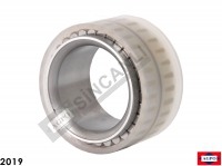 Planetary Bearing