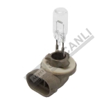 Bulb 50W
