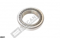 Bearing