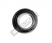 PATİNAJ KARPUZ RULMANI