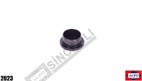 Windshield Plug