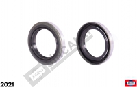 Input Shaft Seal