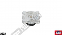 Radiator Cap