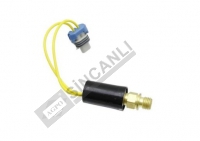 Oil Pressure Switch