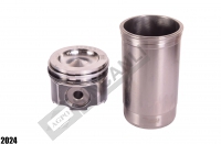 Piston Ring And Liner Set 118.35 Mm - 47 Pin