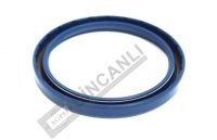 Hub Oil Seal 
