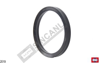 Hydraulic Piston Seal