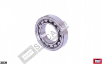 Cylindrical Roller Bearing