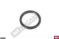 Hydraulic Pump O'Ring