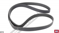 Fan Belt
