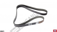 Fan Belt