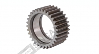 Planetary Gear Z:31