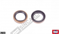 Oil Seal Nbr B1SL 22,8x31x6 