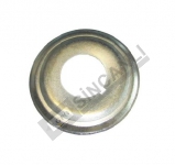 Crankshaft Washer (Flange)