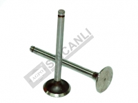Exhaust Valve