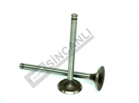 Exhaust Valve (Ex)