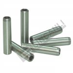 SUPAP GAYDI (YUVASI) IN-EX AD