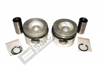 PİSTON SEGMANLI 101,40 / 0,10 '' FARKLI