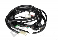 Front Lamp Wiring Loom Assy.