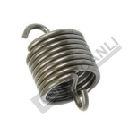 Spring-Carrier Return (Big)