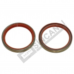 PRİZDİREK KEÇE BÜYÜK 8.VİT.SİLİKONLU