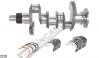 Crank Shaft (Rope Seal) W/Bearing & Weights Assy.