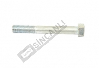 Bolt-Dif. Cover 7/16