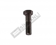 Bolt-Dif. Cover 7/16