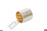 ÖN DİNGİL BURCU KERTİKLİ