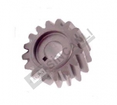 Gear- Tandem P/S Pump