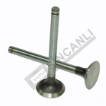 Exhaust Valve