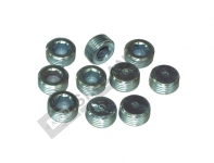 Plug-W/Pump (Cyl Head)