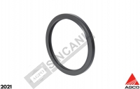 Seal - Rear Crank Shaft 