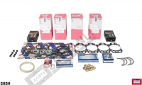 MOTOR REKTİFİYE KİTİ (0,25 YATAKLI VE 0,5 SUPAPLI 4 SİL.