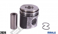 Piston W/Ring 