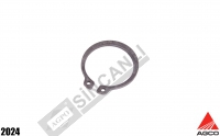 Circlip ''Agco''