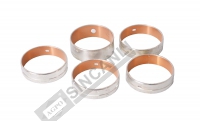 Camshaft Bearing (Oem)