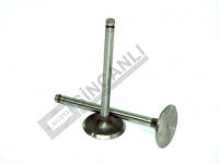 Inlet Valve